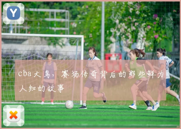 cba大鸟,赛场传奇背后的那些鲜为人知的故事