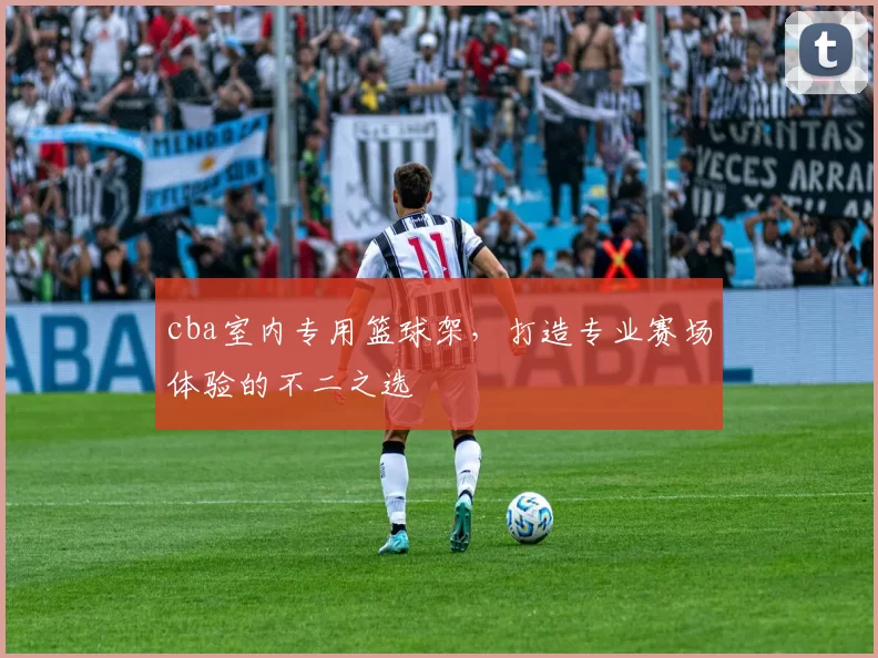 cba室内专用篮球架，打造专业赛场体验的不二之选