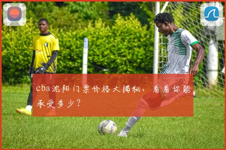 cba沈阳门票价格大揭秘，看看你能承受多少？